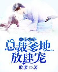 天降萌宝：总裁爹地放肆宠章节列表