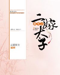 重生之二嫁太子章节列表