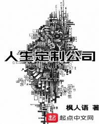 人生定制公司章节列表