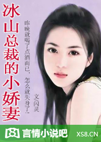 冰山总裁的小娇妻（全本）章节列表