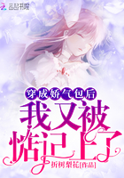 苏轩叶慕瑾肖雅章节列表