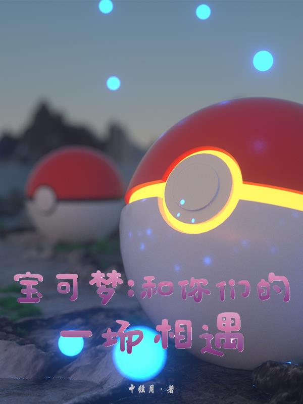 宝可梦：和你们的一场相遇章节列表