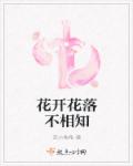 宗先生的甜蜜计划章节列表