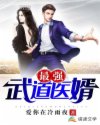 最强武道医婿章节列表