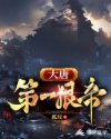 大唐第一狠帝章节列表