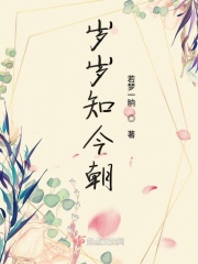 岁岁知今朝章节列表