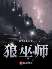 狼巫师章节列表