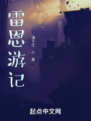 雷恩游记章节列表