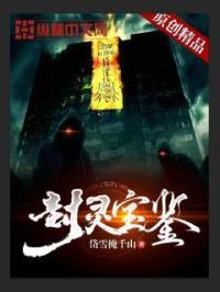 封灵宝鉴章节列表