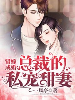 总裁的妙手小甜妻章节列表
