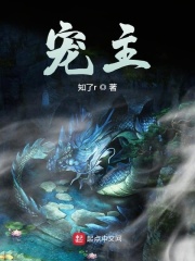宠主章节列表