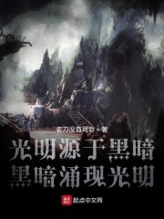 光明源于黑暗黑暗涌现光明章节列表