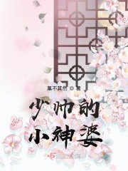 少帅的小神婆章节列表