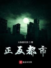 正反都市章节列表