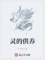 灵的供养章节列表