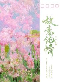 故意纯情章节列表