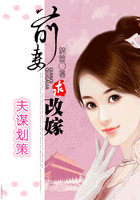 夫谋划策:前妻，求改嫁章节列表