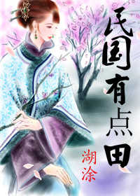 民国有点田章节列表