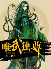 唯武独尊章节列表