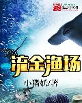 流金渔场章节列表
