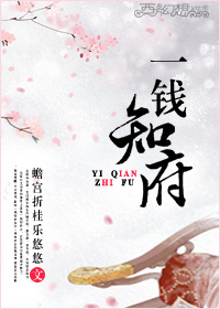 一钱知府章节列表