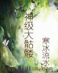 神级大骷髅章节列表