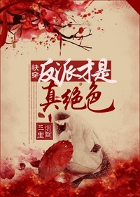 快穿反派才是真绝色章节列表