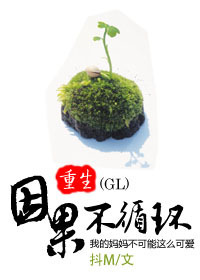 重生之因果不循环（又名我的妈妈不可能这么可爱）章节列表