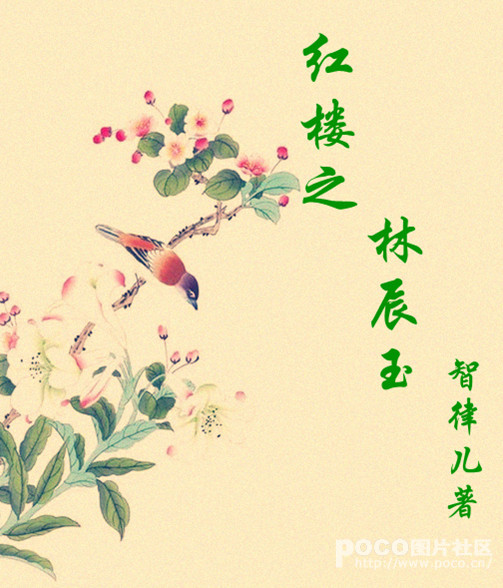 随身空间红楼之林辰玉章节列表