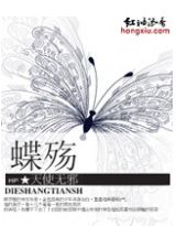 蝶殇之蝶舞阑珊处章节列表