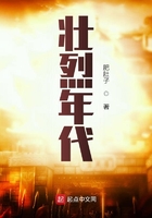 壮烈年代章节列表