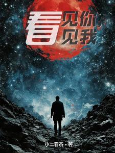 看见你，看见我章节列表
