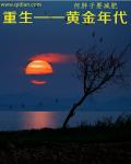 重走黄金年代章节列表