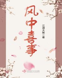 风中喜事章节列表