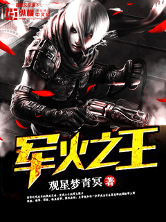 军火之王章节列表