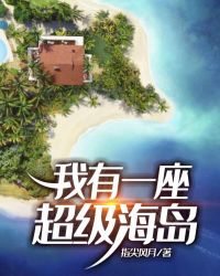 我有一座超级海岛章节列表
