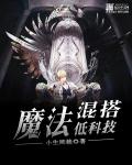 魔法混搭低科技章节列表