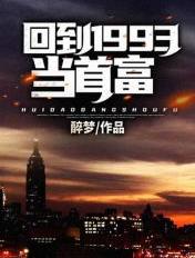 回到1993当首富章节列表