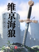 中世纪之维京海狼章节列表