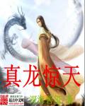 真龙惊天章节列表
