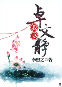 我妻卓文静章节列表