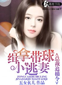 缉拿带球小逃妻章节列表