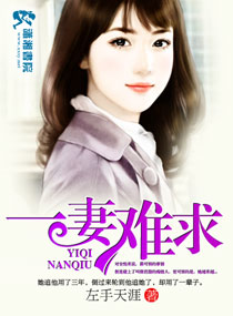一妻难求章节列表