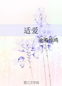 适爱章节列表