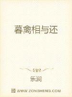 暮禽相与还章节列表