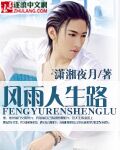 风雨人生路章节列表