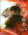 北宋小霸王章节列表