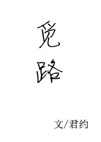觅路章节列表