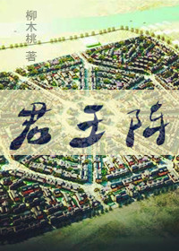 君王阵章节列表