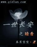一世长安之暗香章节列表